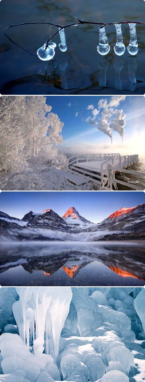 paysage d'hiver 