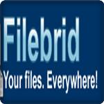 Filebrid : pour envoyer votre fichier sur plusieurs sites de partage en un clic